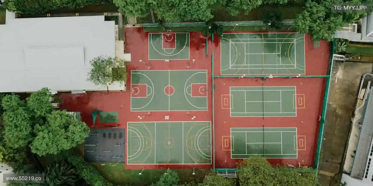 ✨ 一键订阅,精彩不断!最新赛事资讯,第一时间送达!